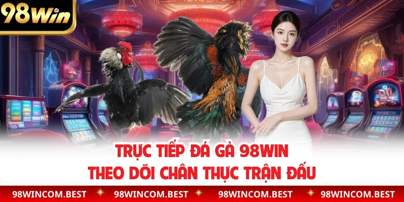 Xem trực tiếp đá gà chân thực chọn ra chiến kê giỏi