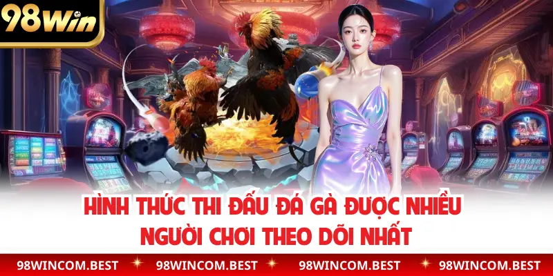 Hình thức thi đấu đá gà được nhiều người chơi theo dõi nhất