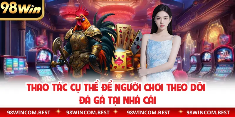 Thao tác cụ thể để người chơi theo dõi đá gà tại nhà cái